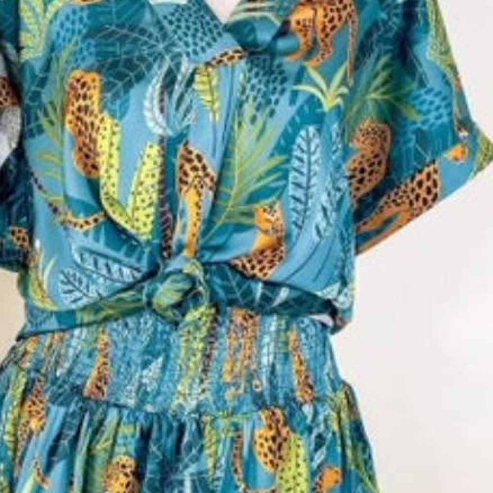 Entro Blue and Orange Leopard Print Dress